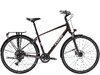 Trek Verve SO EQ L Dark Carmine